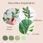 build your own greenery mixed box