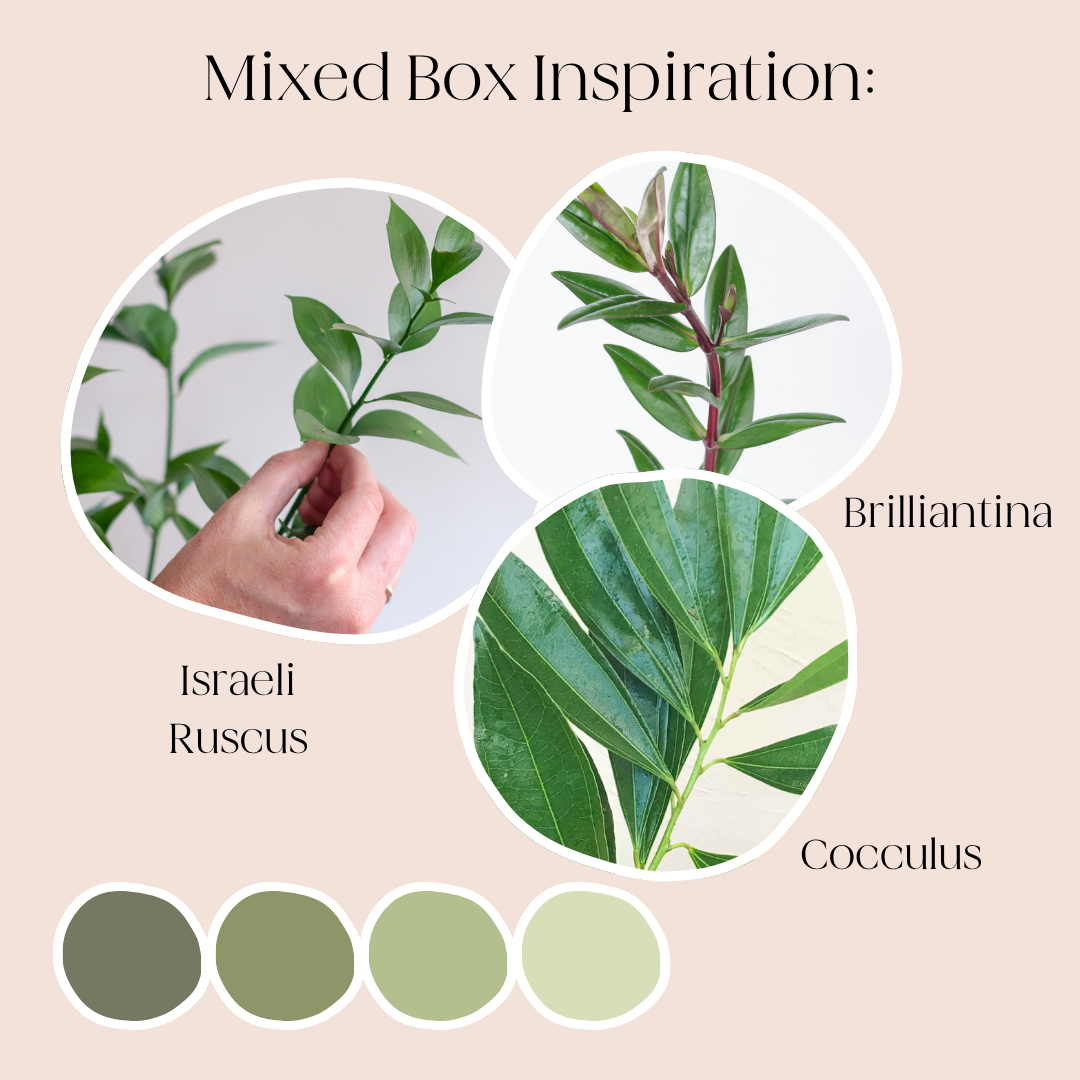 build your own greenery mixed box