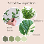 Build Your Own Rose and Greenery Box