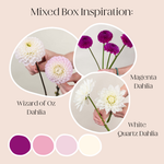 Build Your Own Dahlia Box