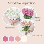 Build Your Own Line Flowers Mixed Box: Stock, Delphinium, and Larkspur
