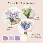Build Your Own Line Flowers Mixed Box: Stock, Delphinium, and Larkspur
