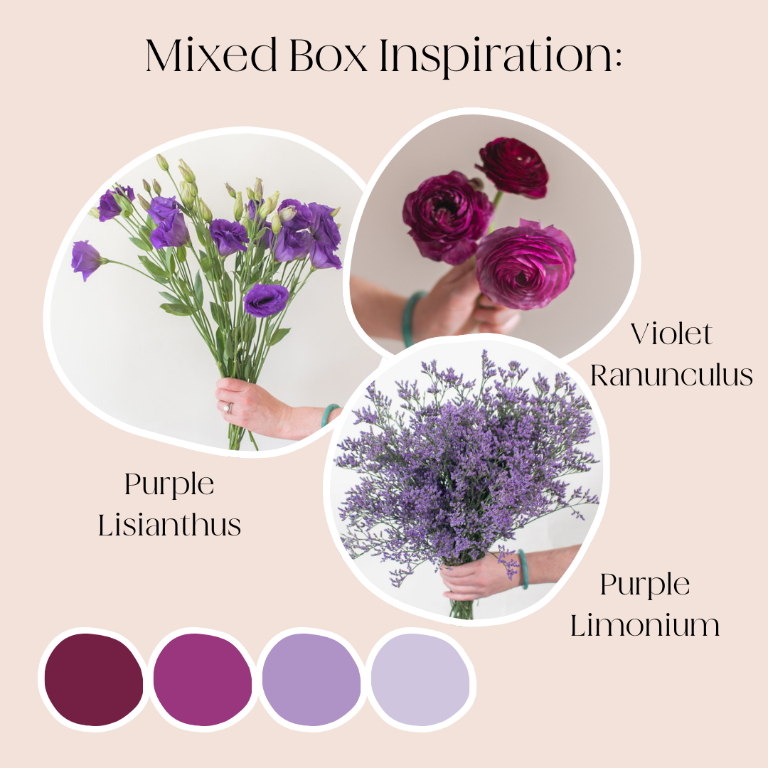 Build Your Own Wildflower Box