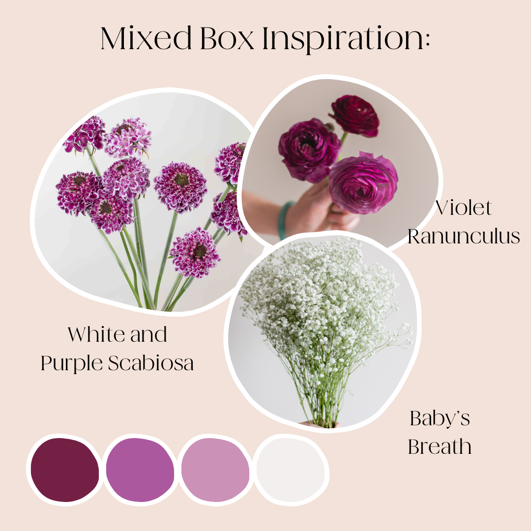 Build Your Own Wildflower Box