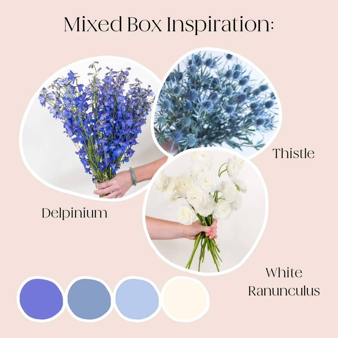 Build Your Own Wildflower Box