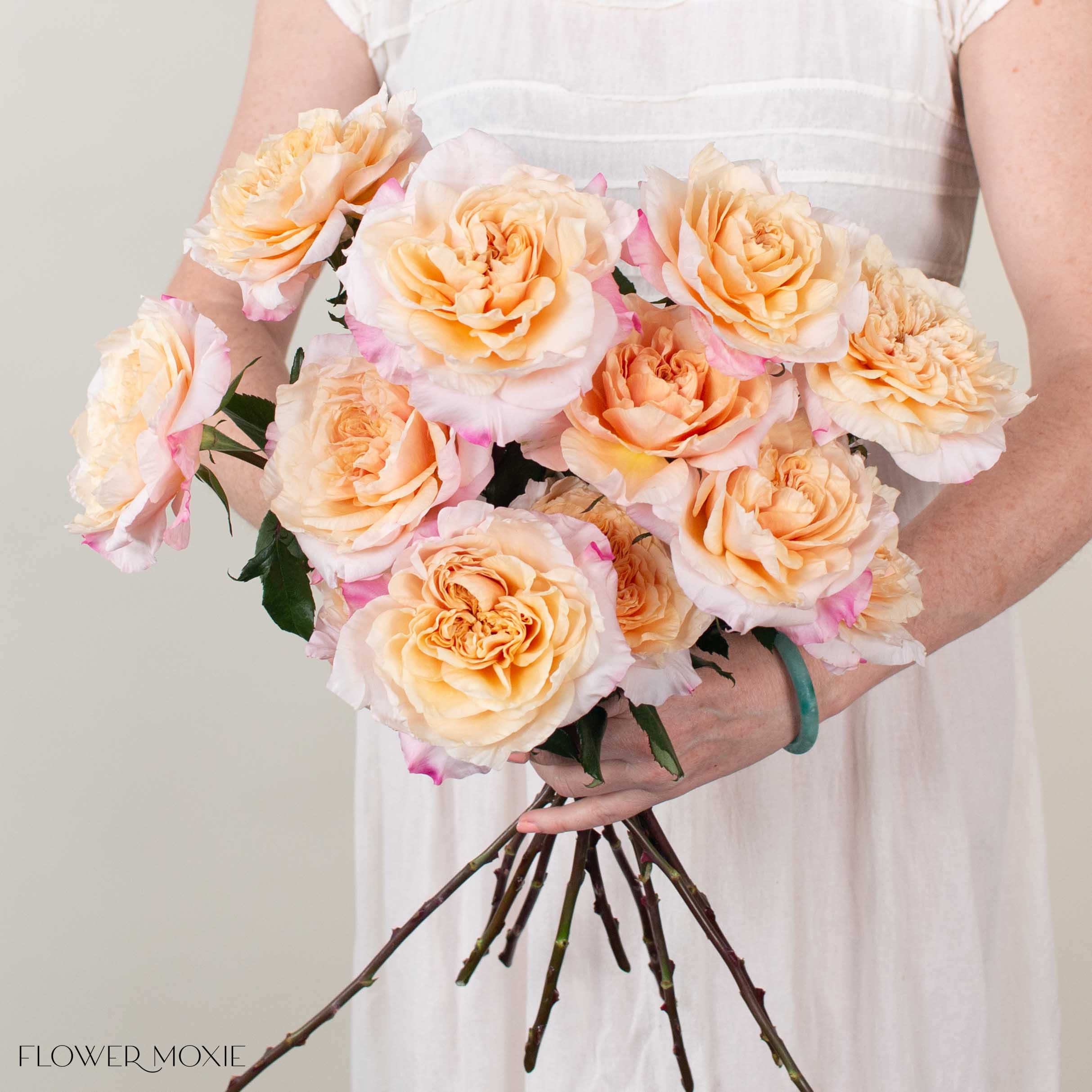 Blushy Peach Issei Garden Rose | DIY Wedding Flowers | Flower Moxie