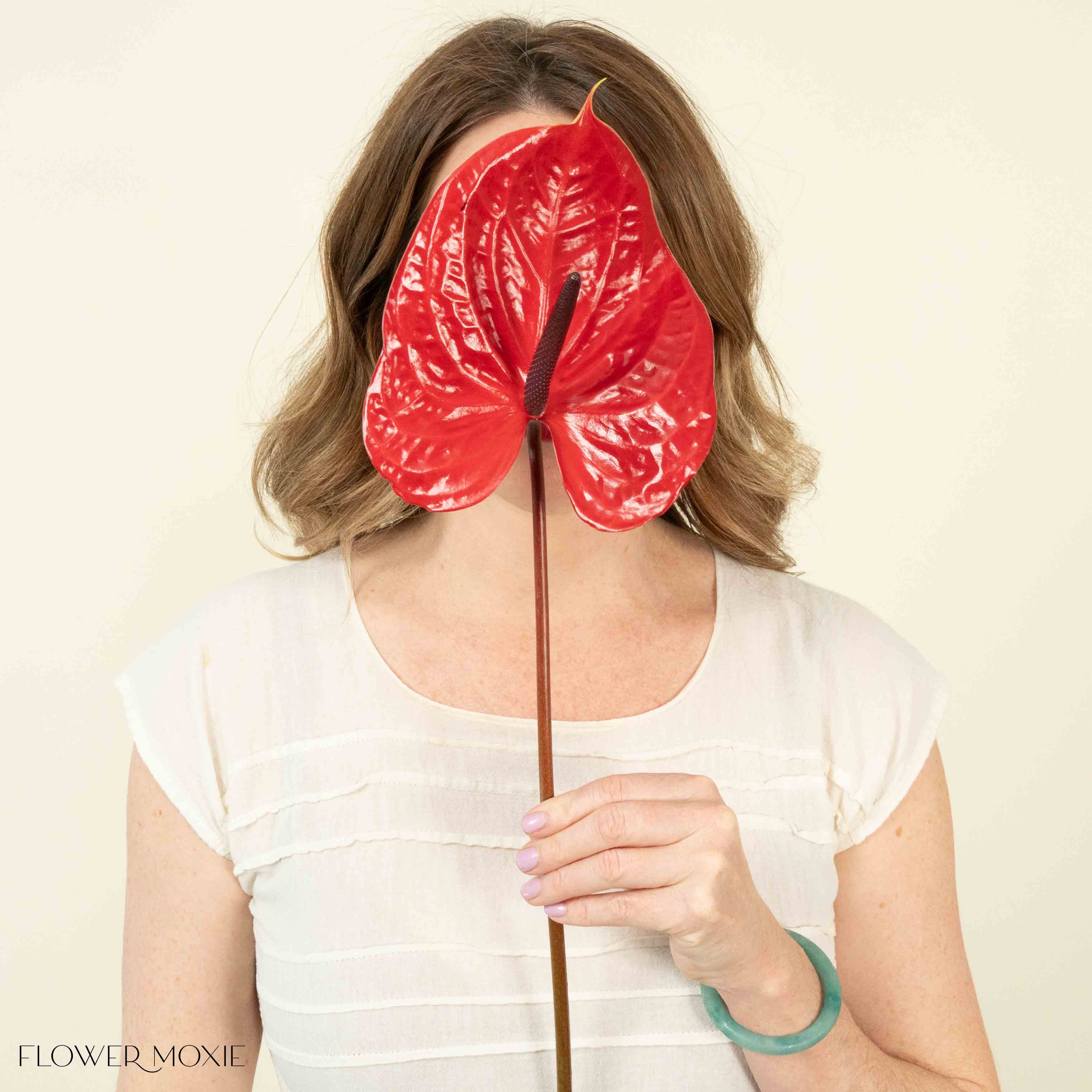 Giant Red Italian Anthurium Flower