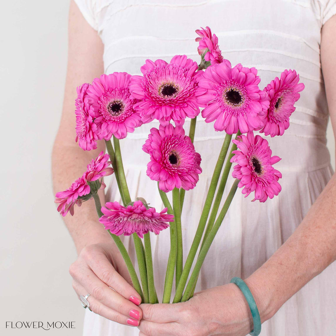 gerbera lily flower Pink Mini Gerbera Daisies | Fresh DIY Wedding Flowers | Flower Moxie 120 Stems