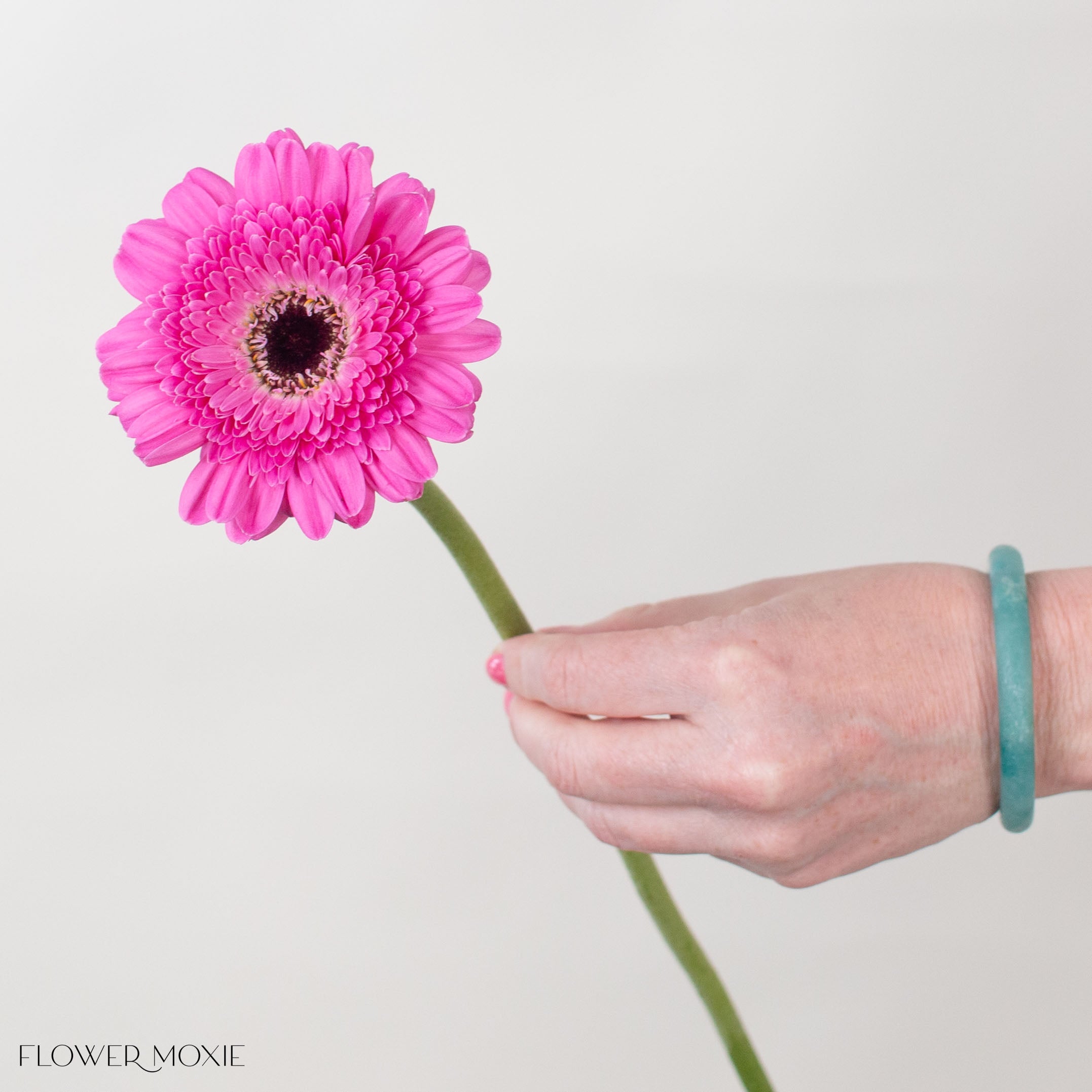 Kimi Pink Mini Gerbera
