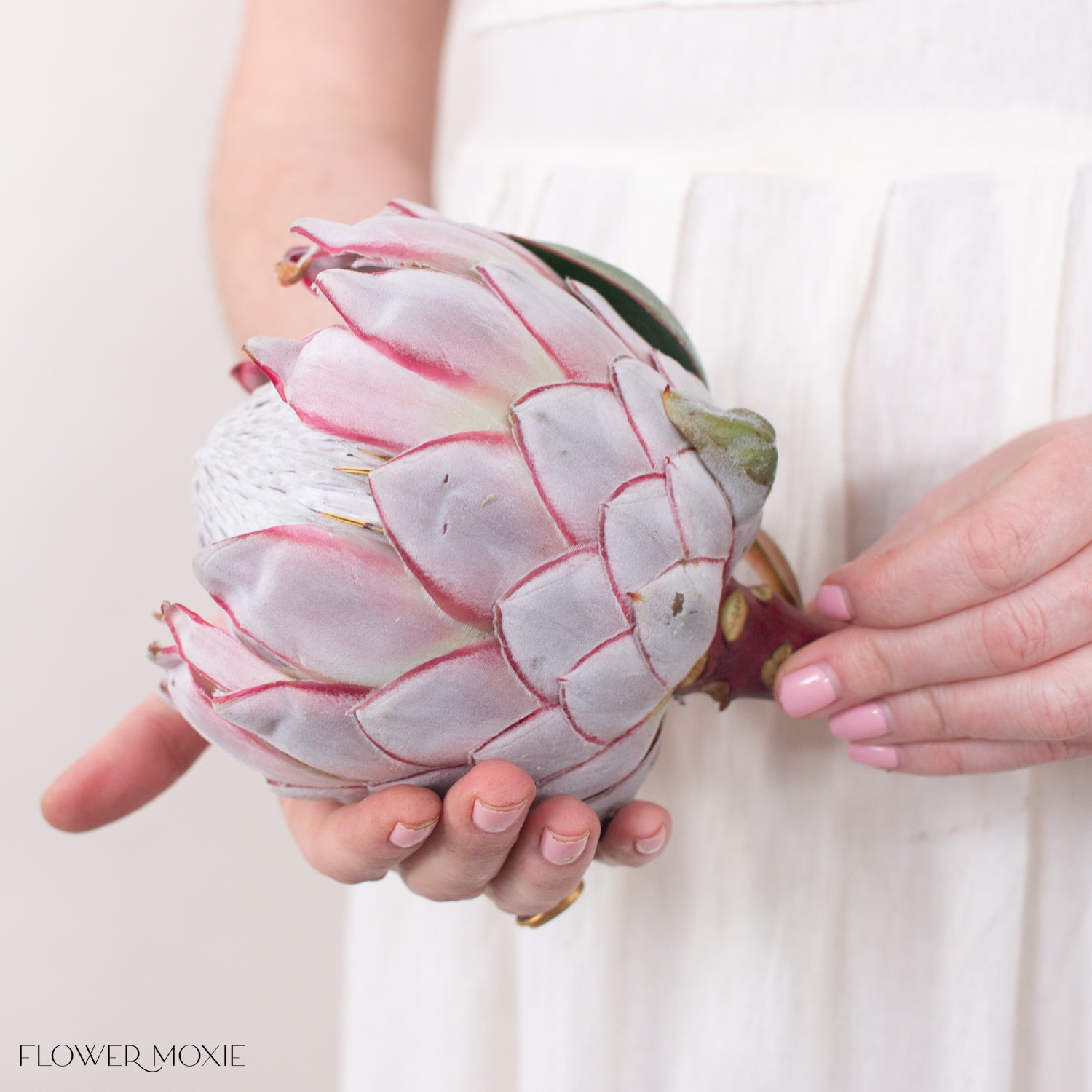 King Protea | DIY Wedding Flowers | Flower Moxie