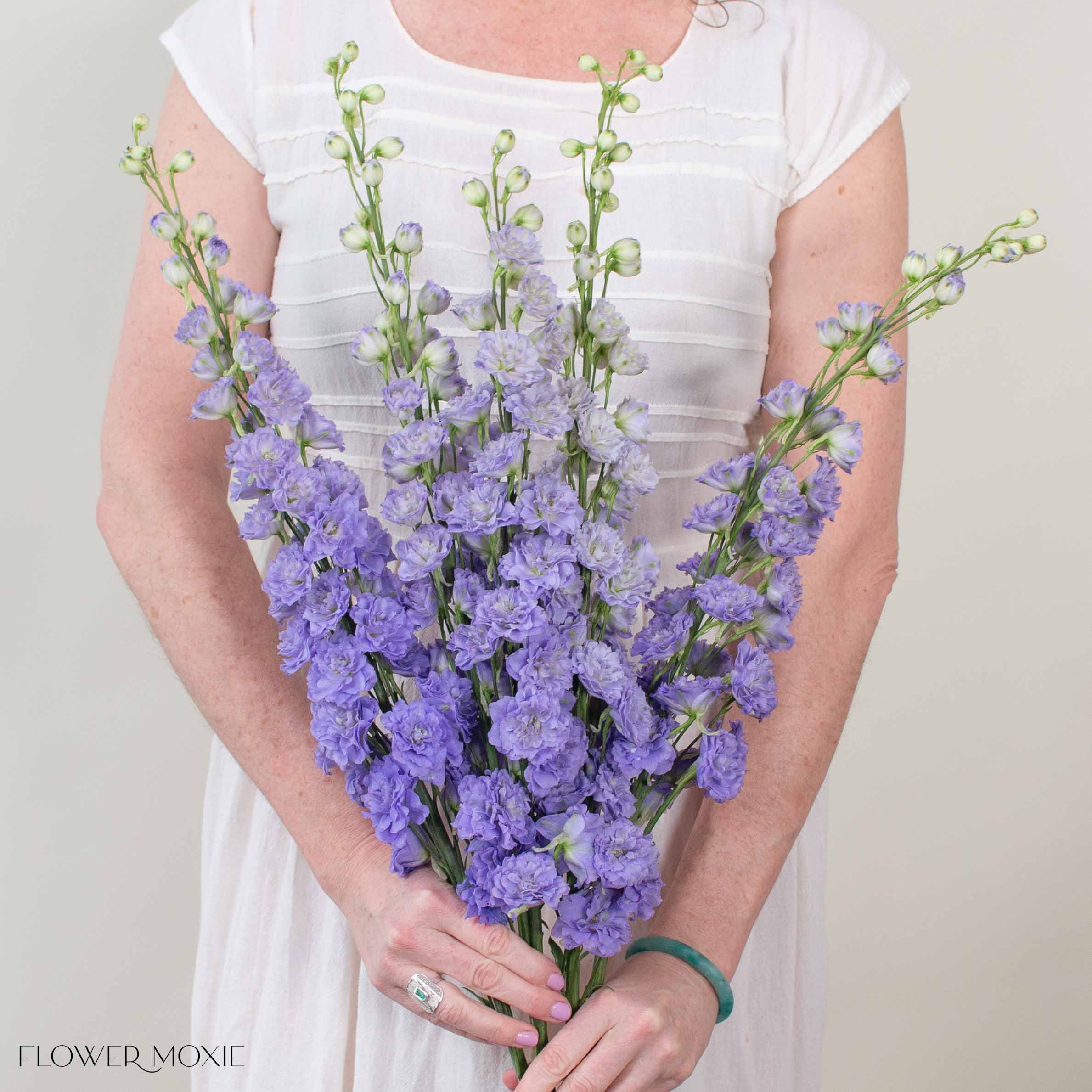 Giant Lavender Hybrid Delphinium Flower