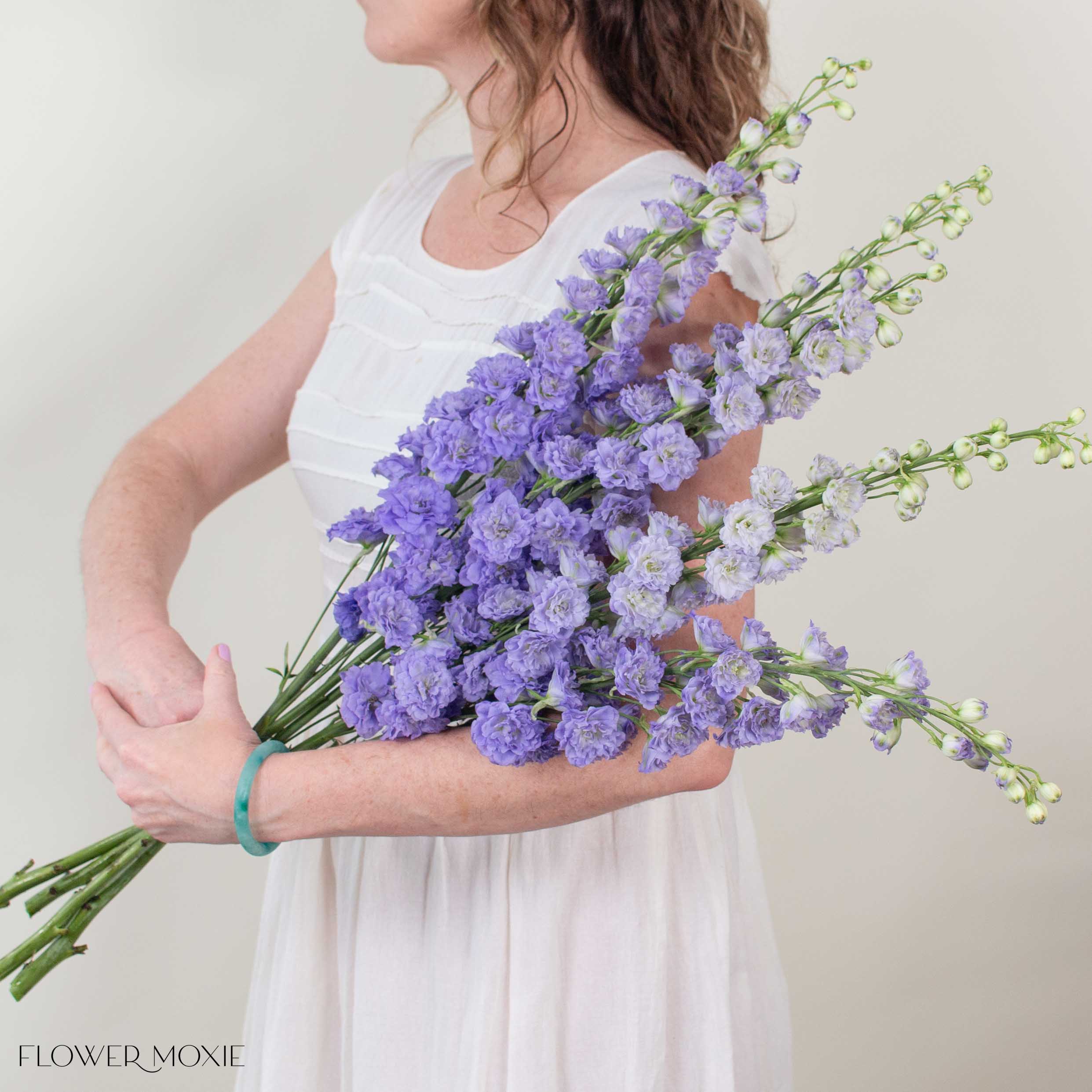 Giant Lavender Hybrid Delphinium Flower