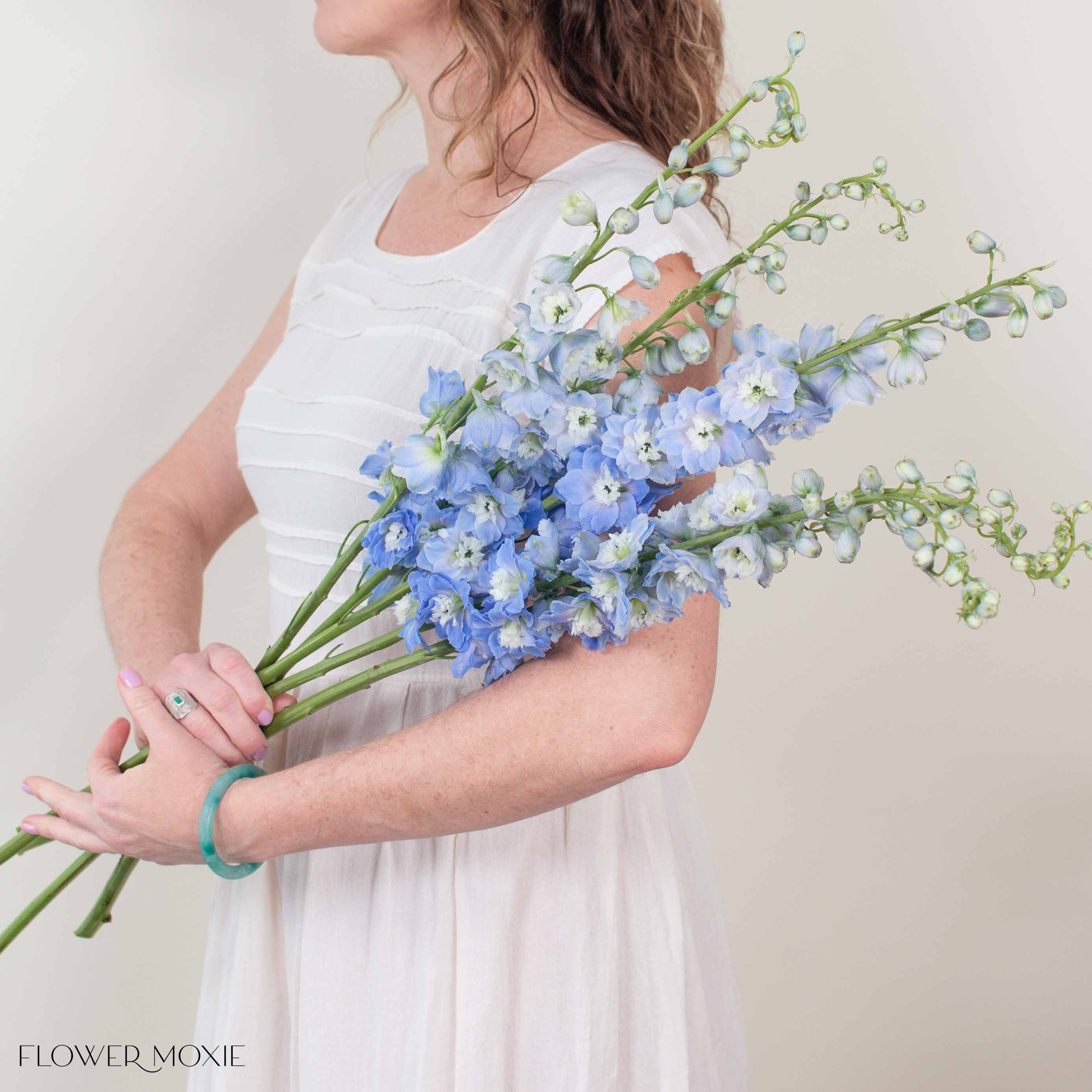 Giant Light Blue Hybrid Delphinium Flower