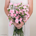 Light Pink Mini Carnation Flower
