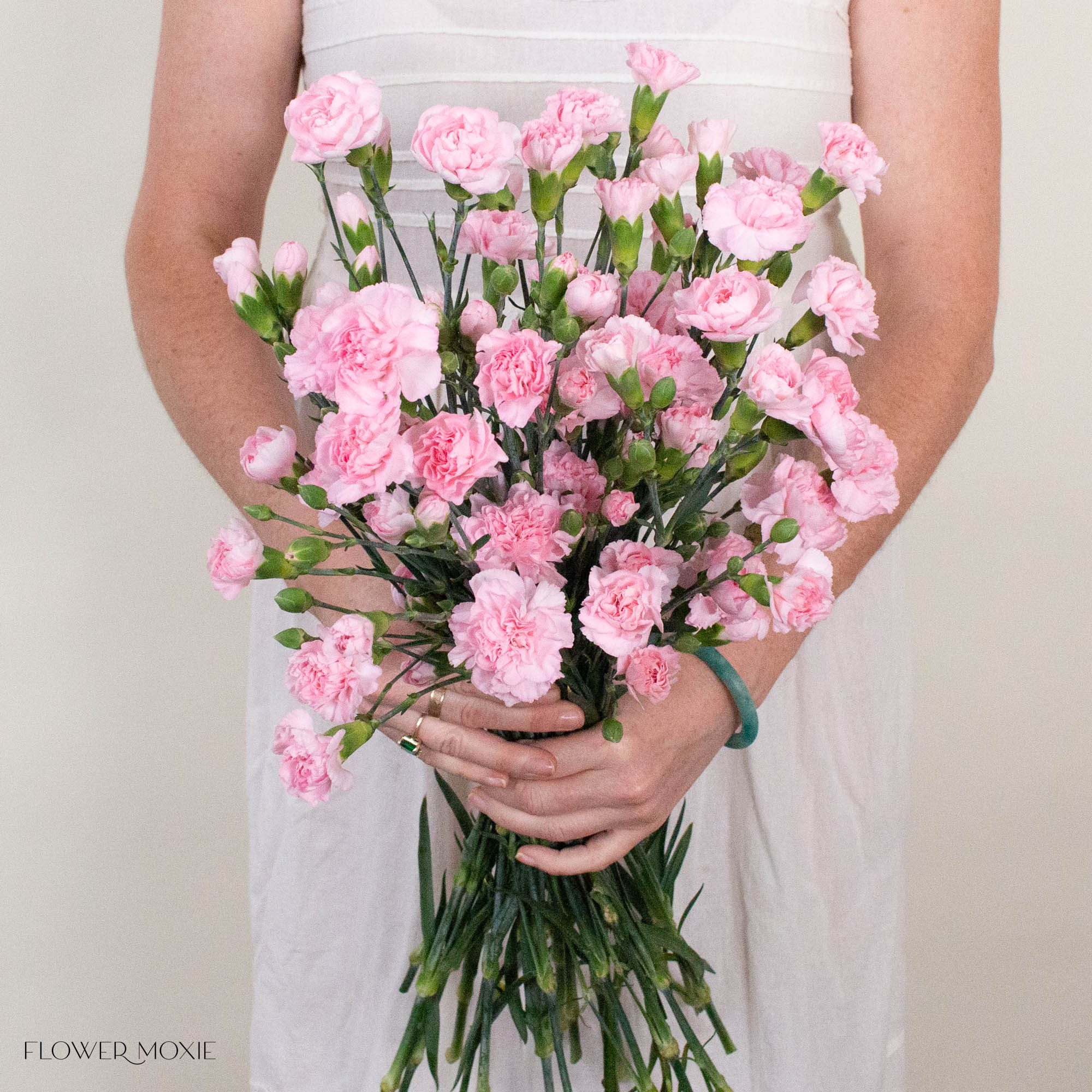 Light Pink Mini Carnation Flower
