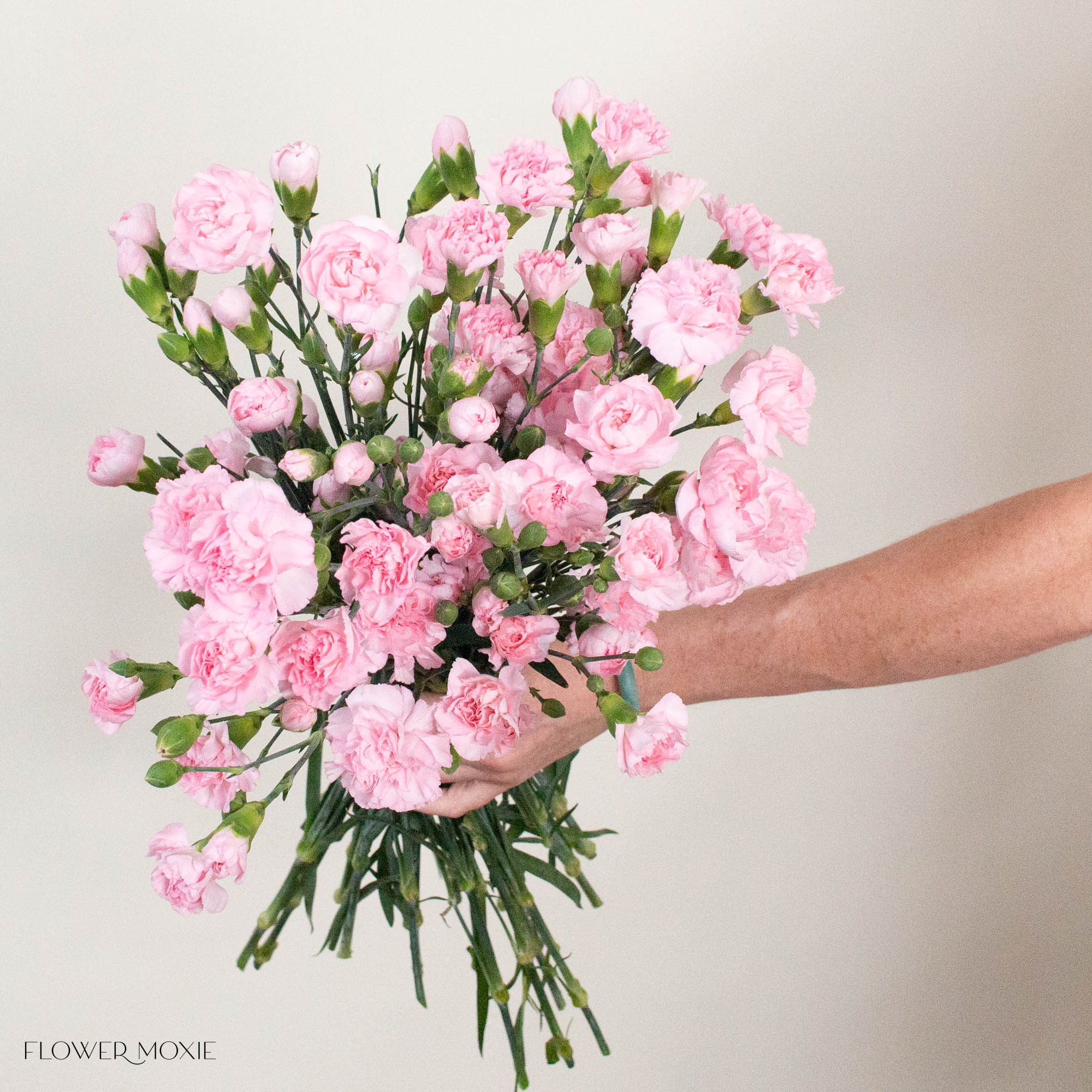 Light Pink Mini Carnation Flower
