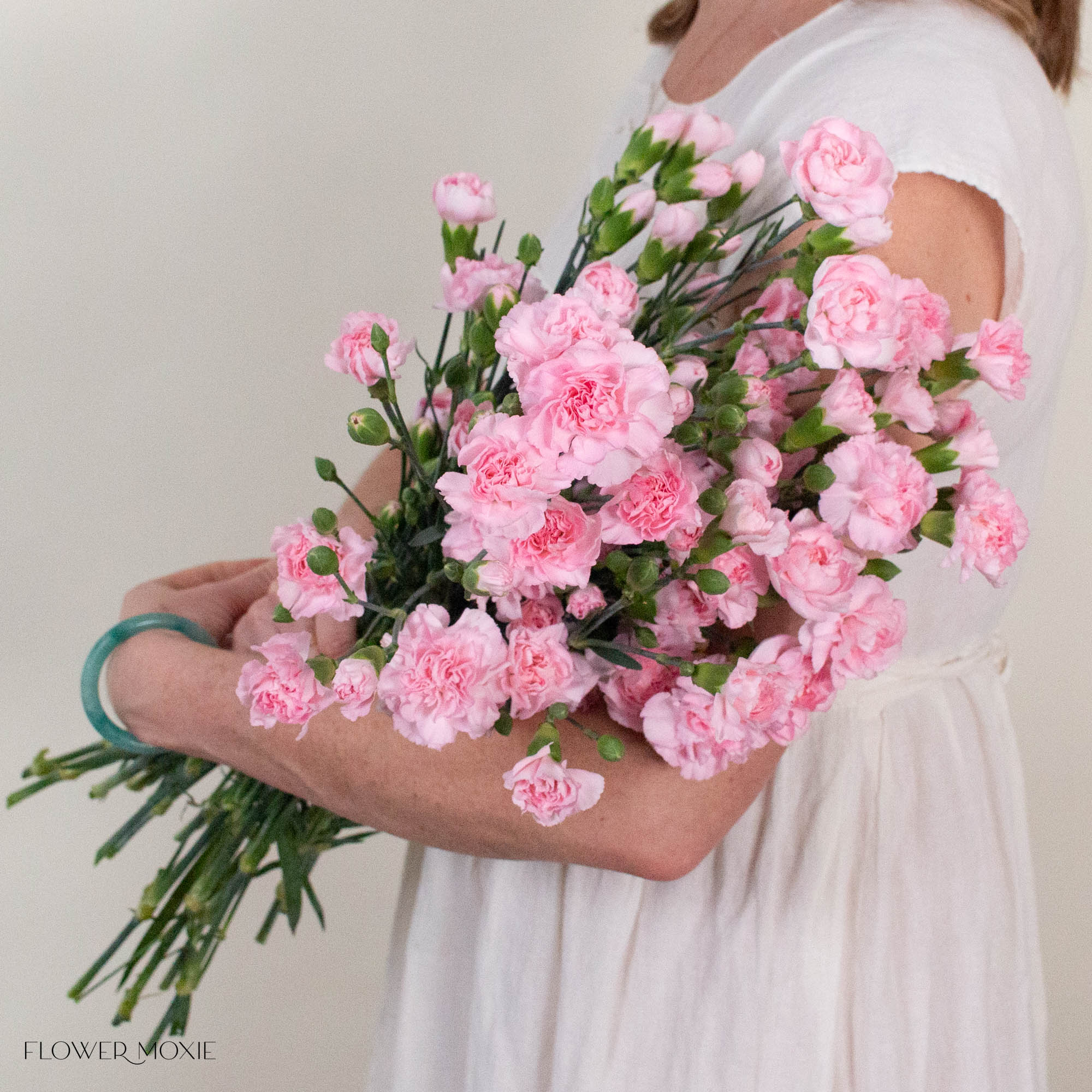 Light Pink Mini Carnation Flower
