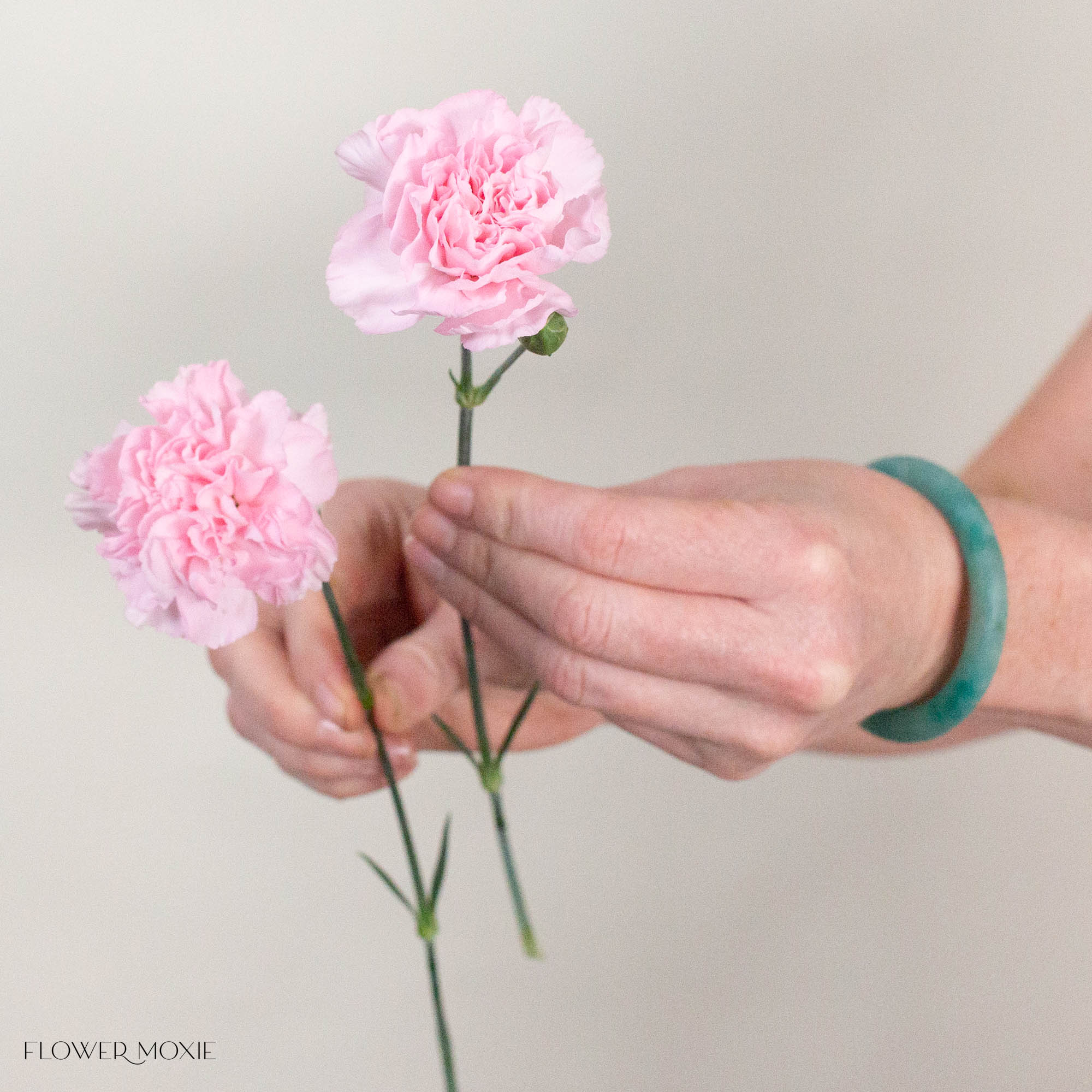 Light Pink Mini Carnation Flower
