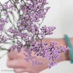Pink Limonium Flower