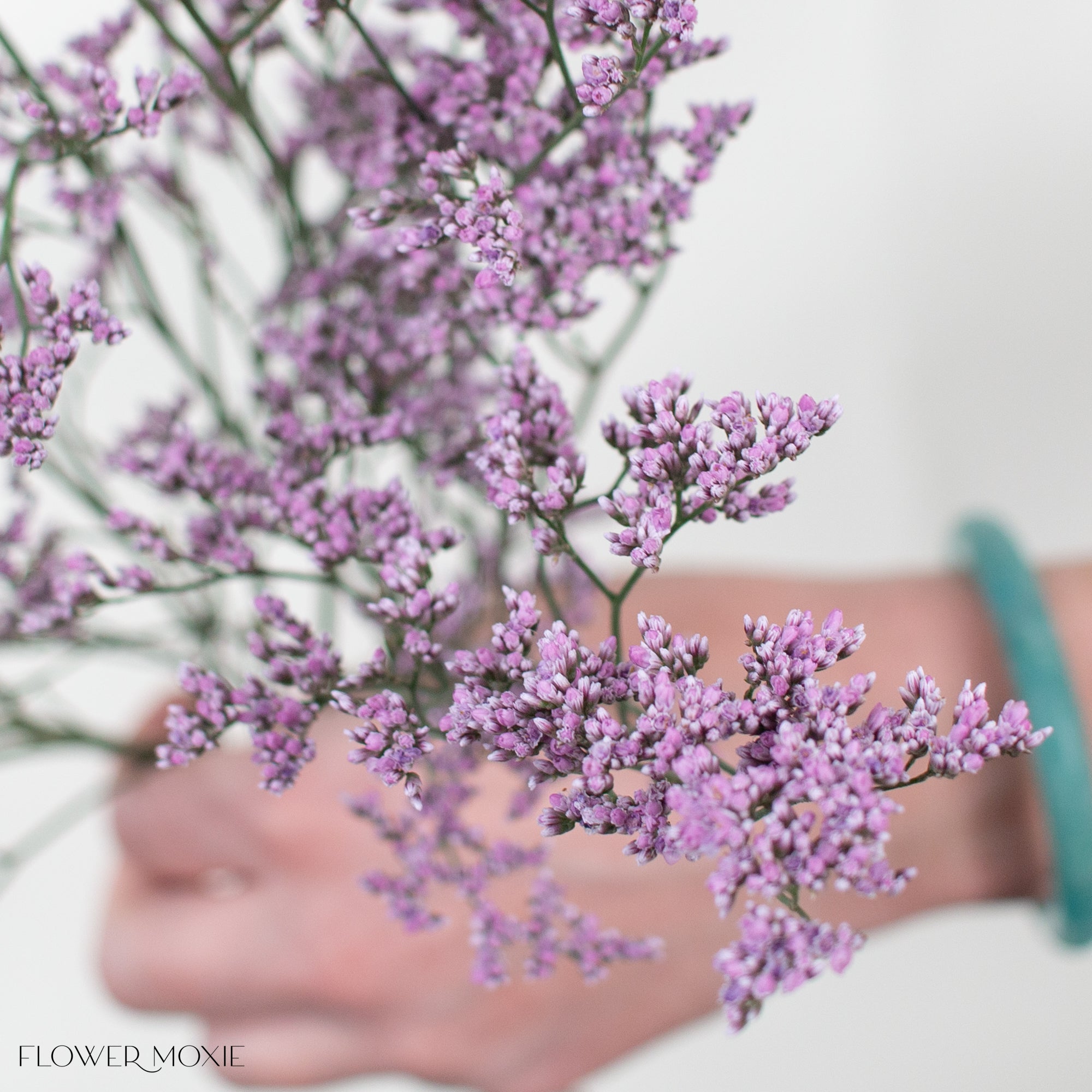 Pink Limonium Flower