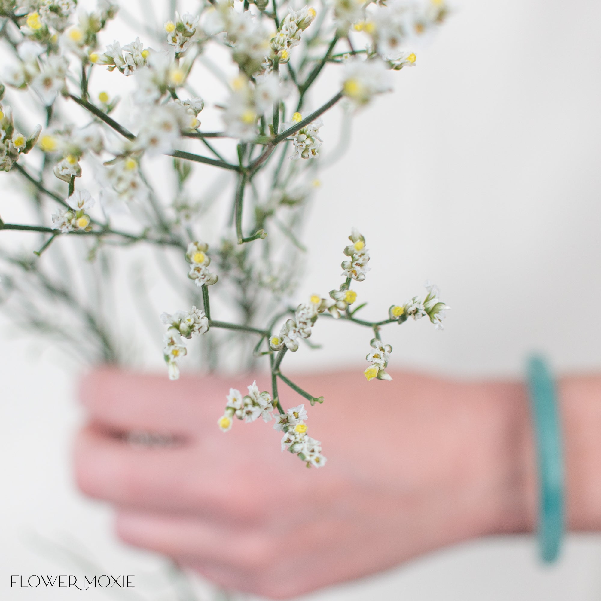 White Limonium Flower