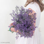 Purple Limonium Flower
