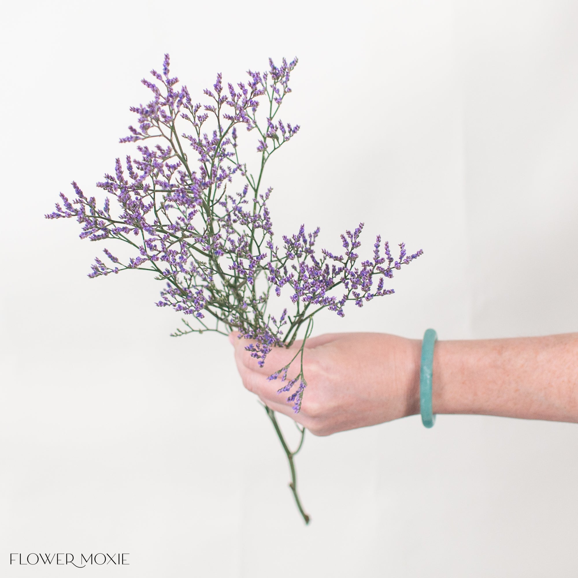 Purple Limonium Flower