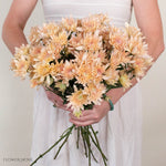 Peach Cushion Pom Flower
