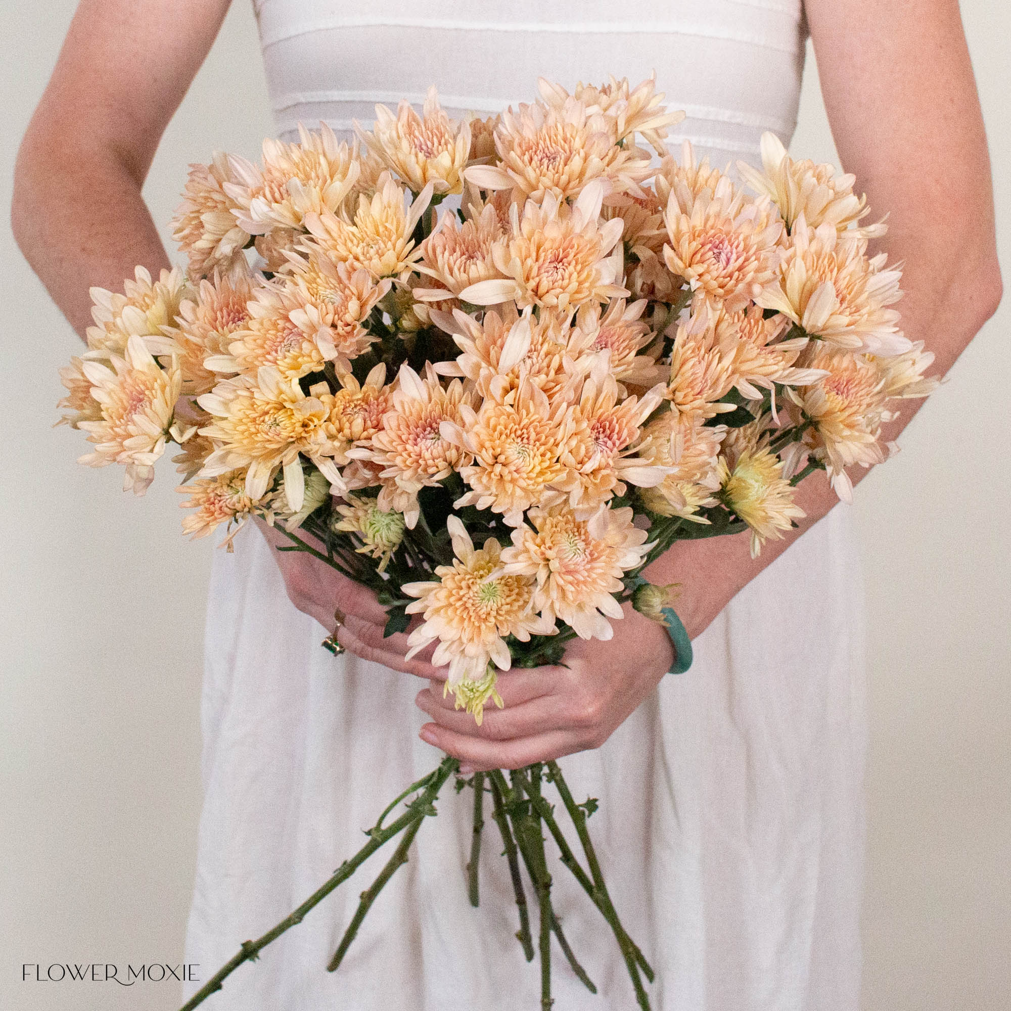 Peach Cushion Pom Flower
