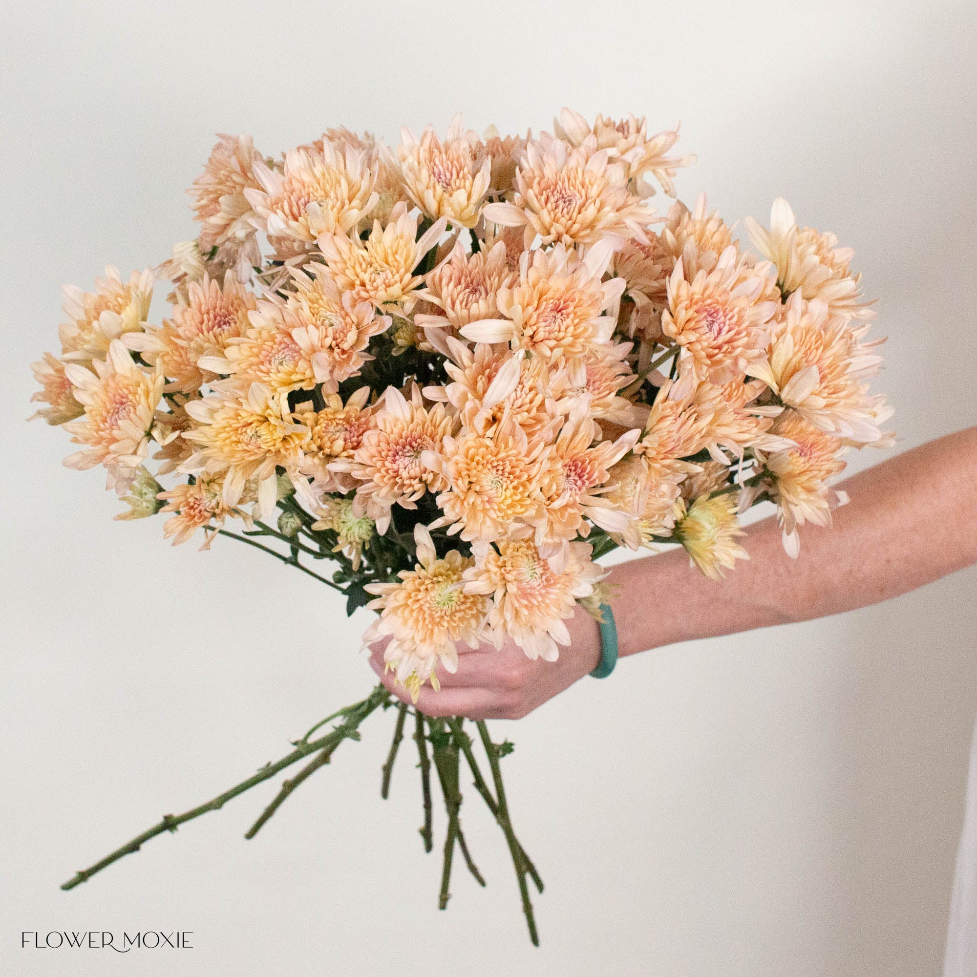 Peach Cushion Pom Flower
