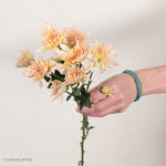 Peach Cushion Pom Flower
