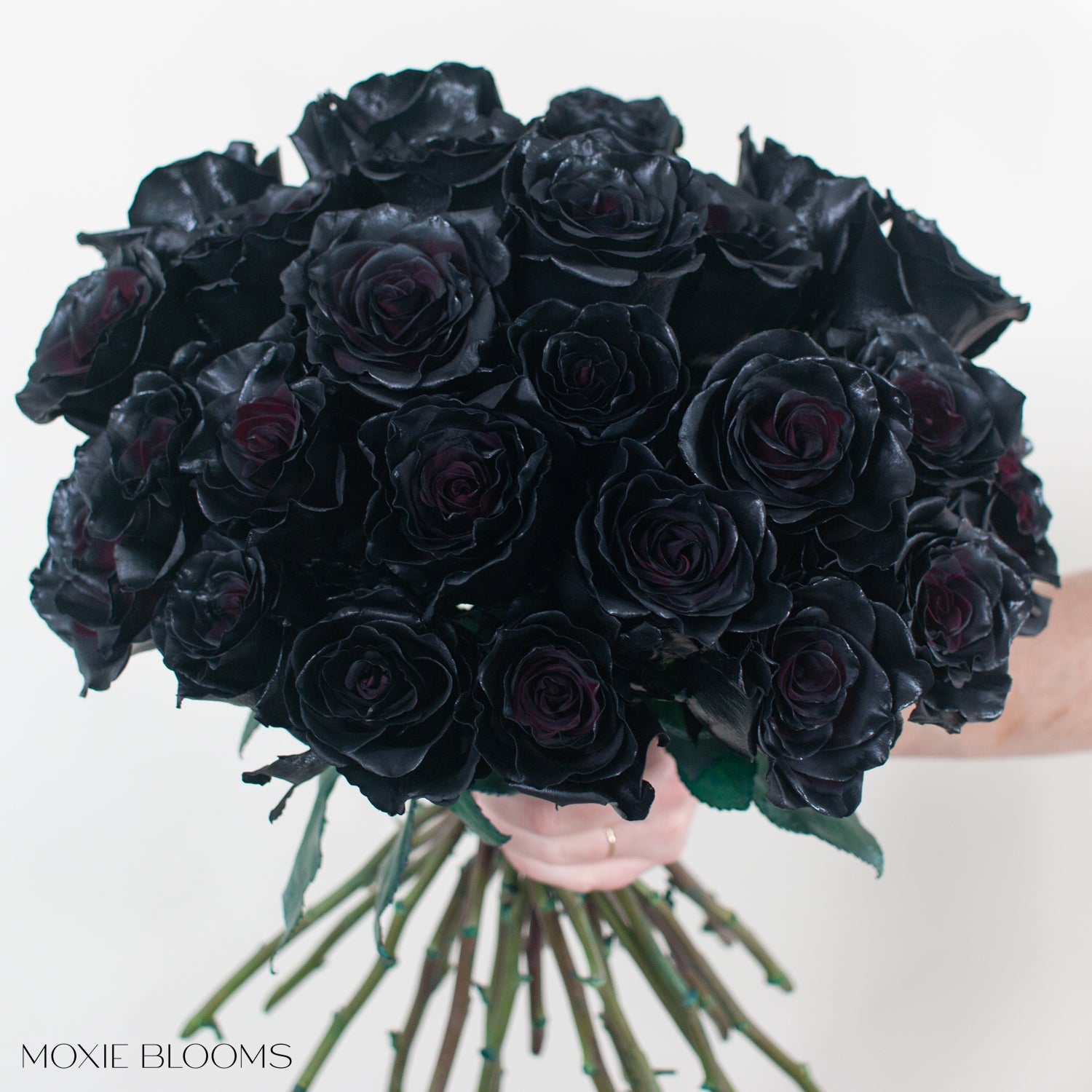 Novelty Roses | Flower Moxie | Roses for DIY Wedding