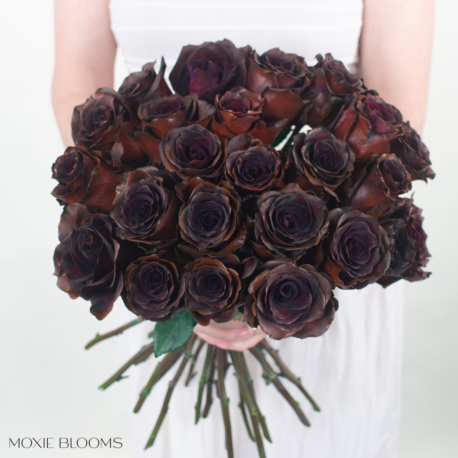 Novelty Roses | Flower Moxie | Roses for DIY Wedding