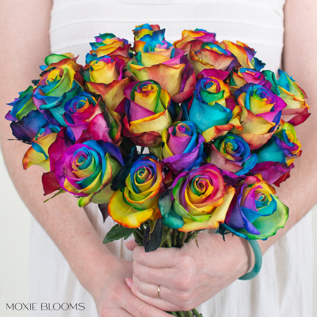 Rainbow Novelty Rose, image size:1080x1080