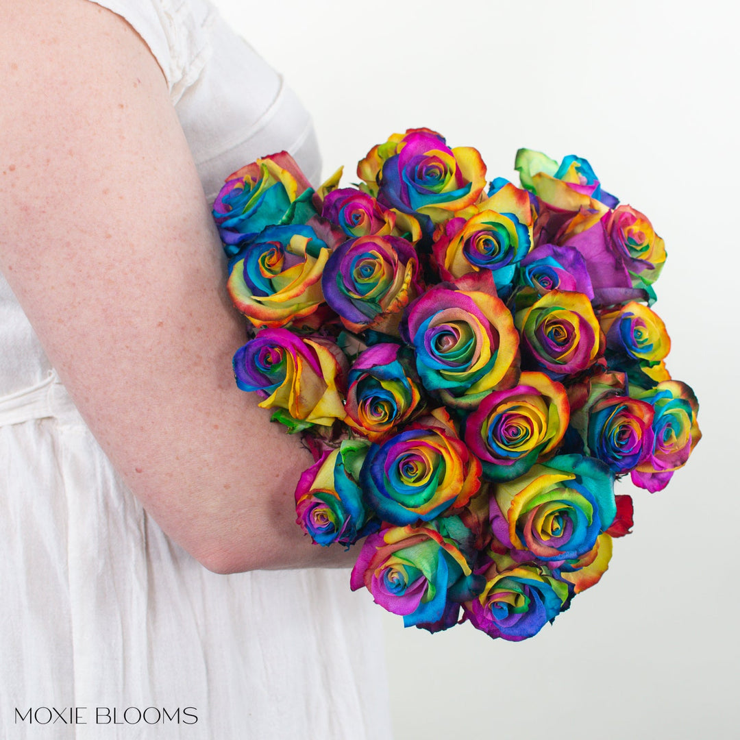 Rainbow Novelty Rose Rainbow Novelty Rose