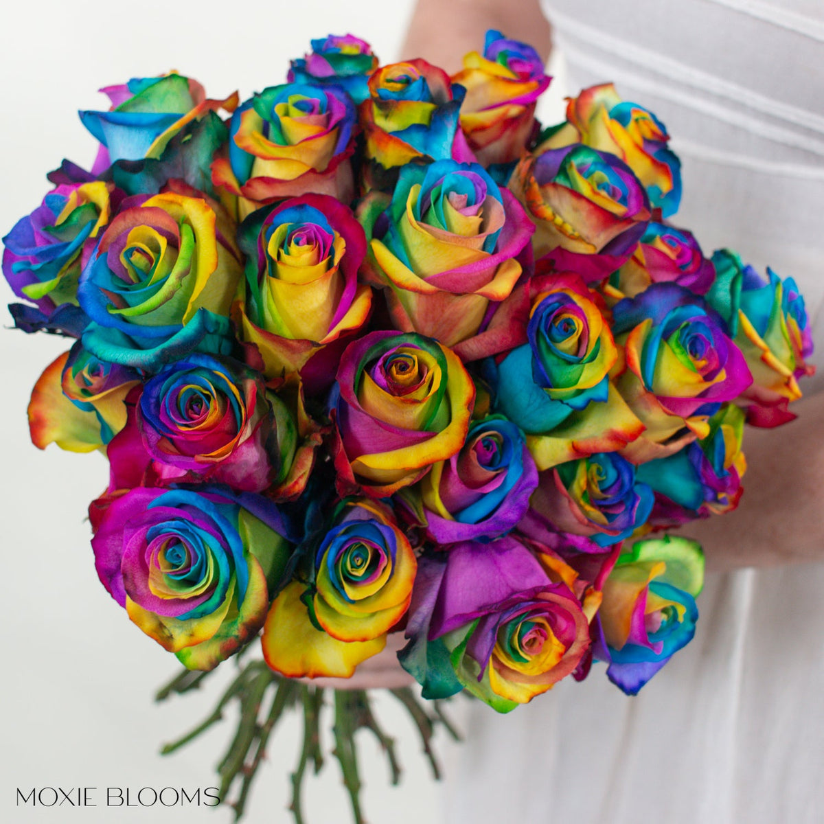 Fun Roses Novelty Roses | Flower Moxie | Roses for DIY Wedding