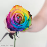 rainbow pride rose