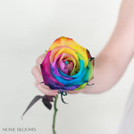 rainbow pride rose