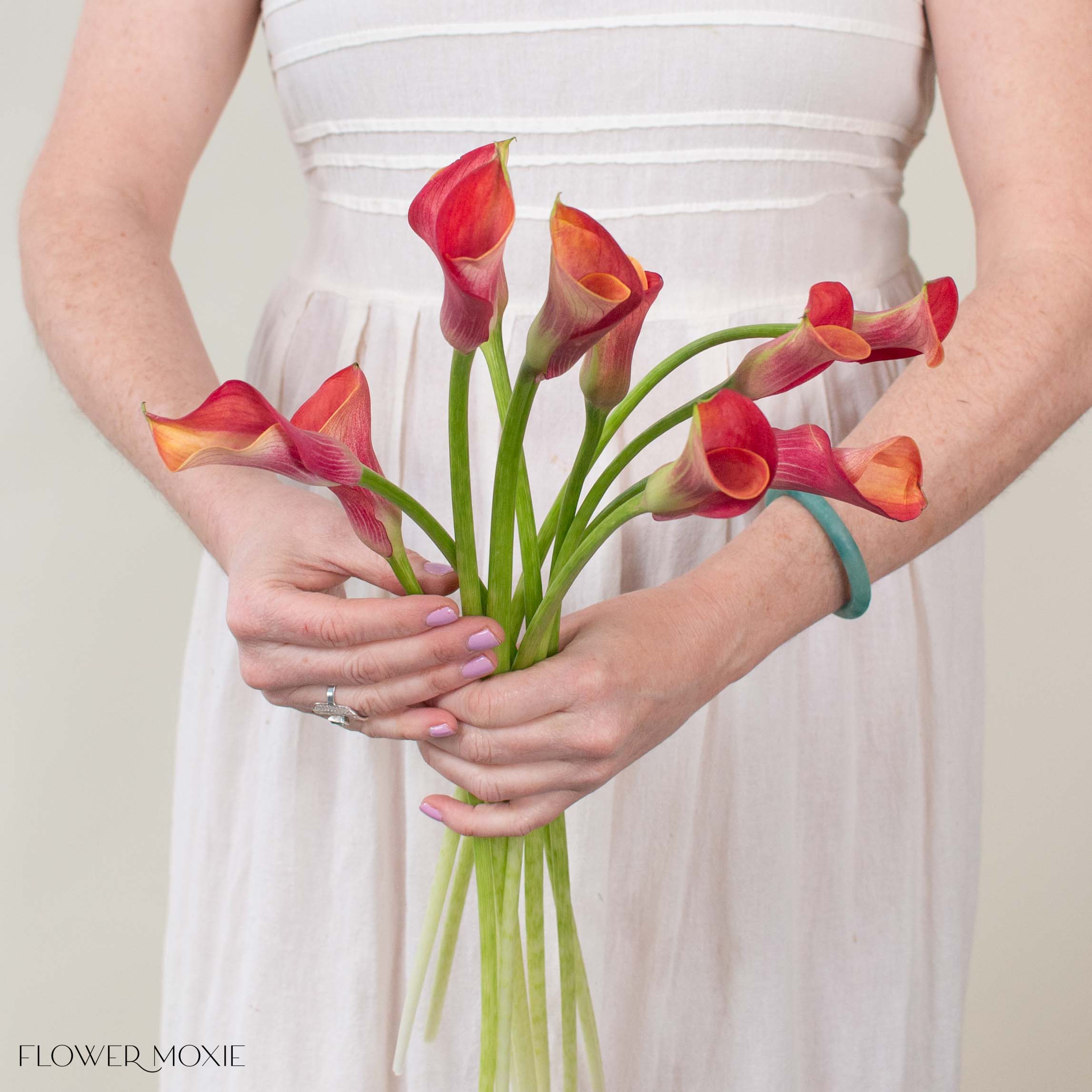 white and orange calla lily bouquet Orange Mini Calla Lily Flower | DIY Wedding Flower | Flower Moxie 50 Stems