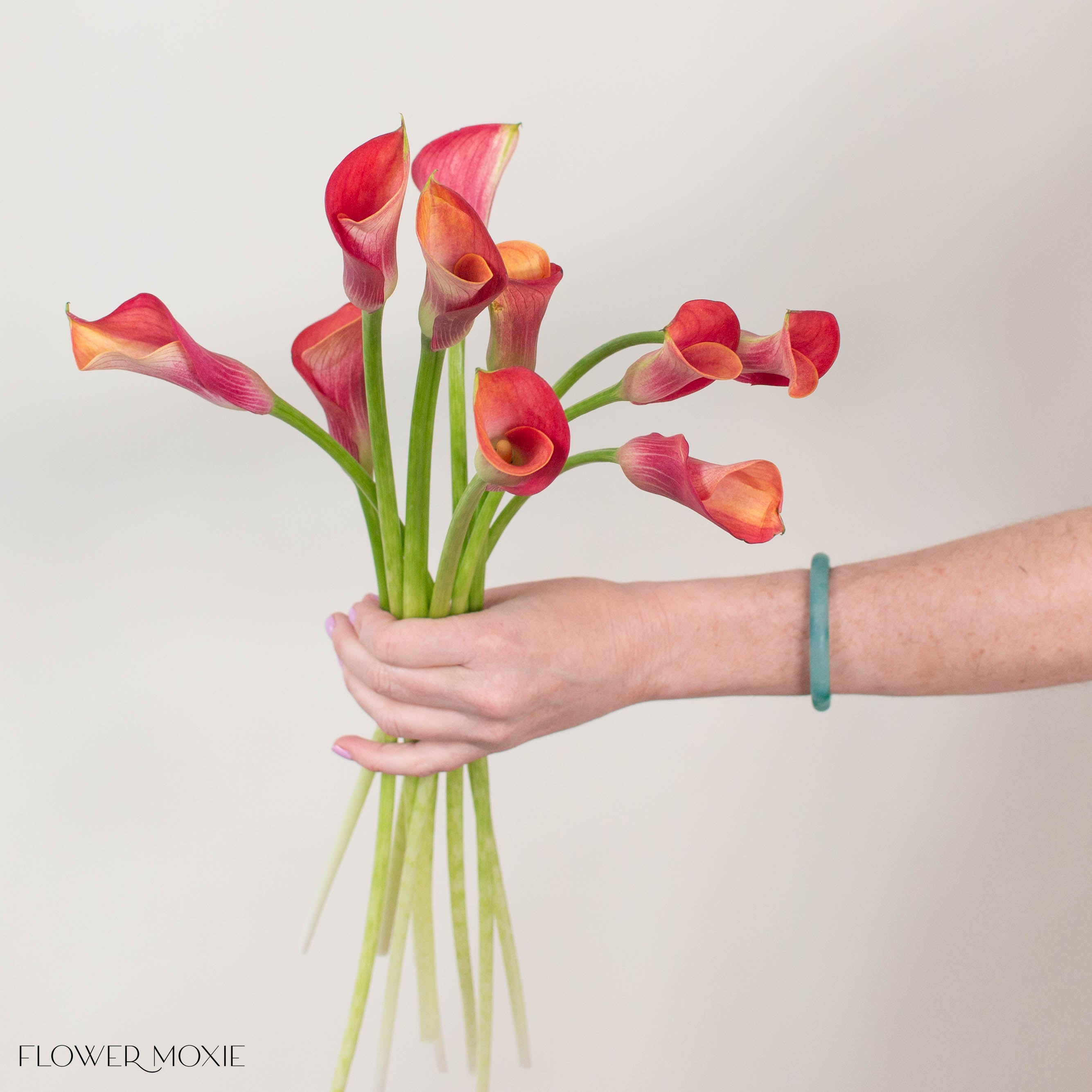 calla lily cut flower Orange Mini Calla Lily Flower | DIY Wedding Flower | Flower Moxie 50 Stems