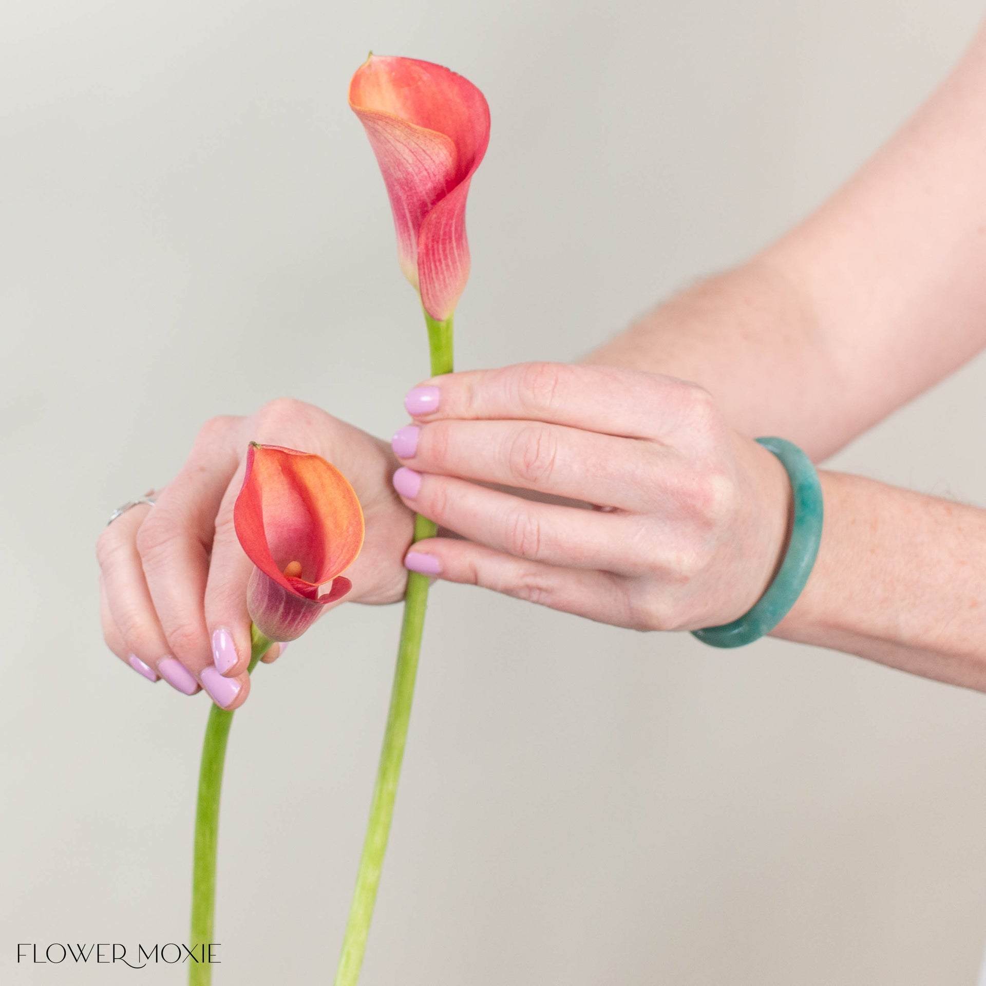 orange calla lily flower Orange Mini Calla Lily Flower | DIY Wedding Flower