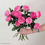 Pink Mariatheresia Garden Rose