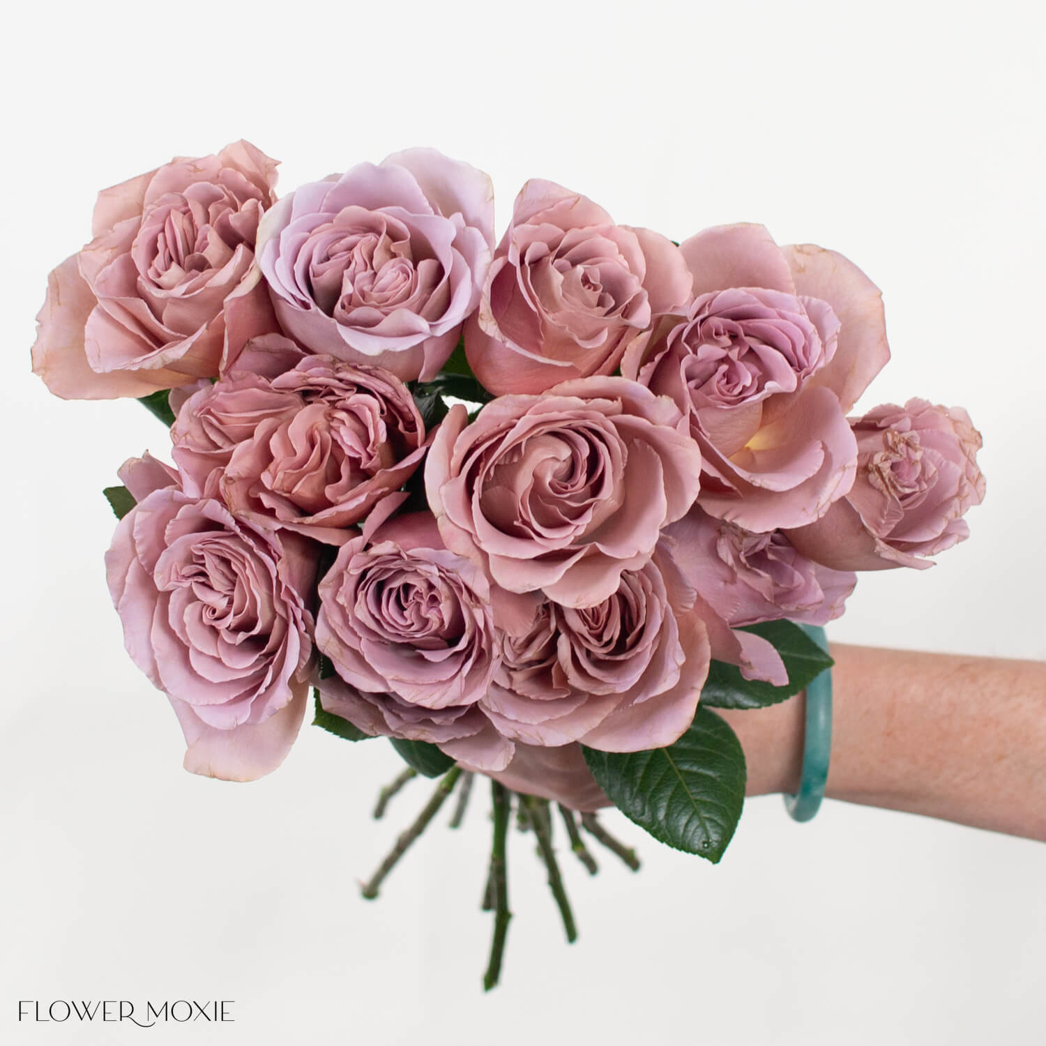 Cafe Latte Mauve Wedding Garden Roses