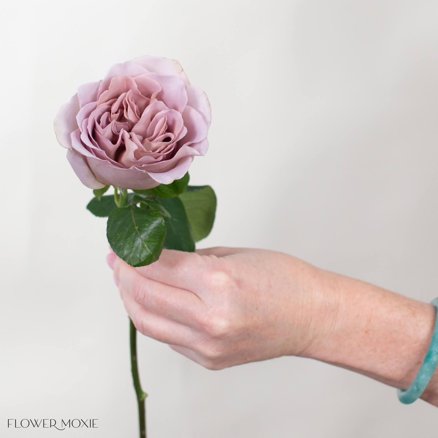 Cafe Latte Mauve Wedding Garden Roses