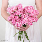Pink Hashtag Spray Roses