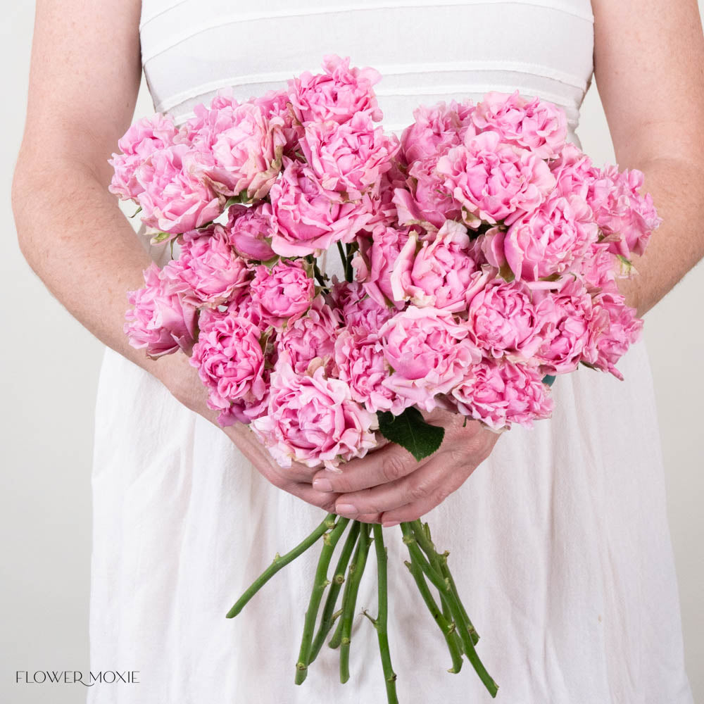Pink Hashtag Spray Roses