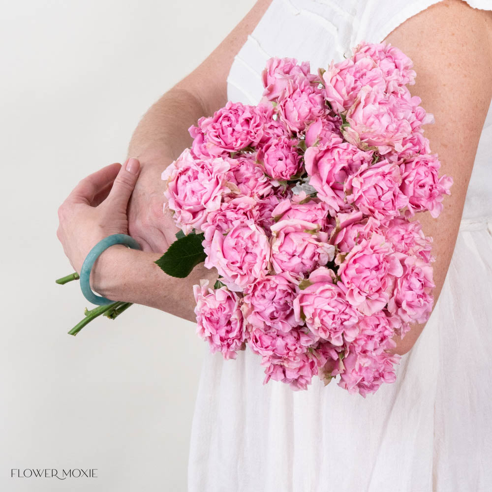 Pink Hashtag Spray Roses