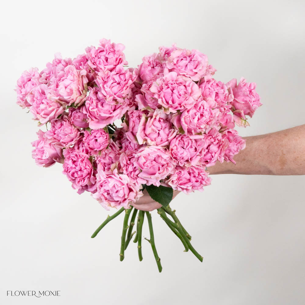Pink Hashtag Spray Roses