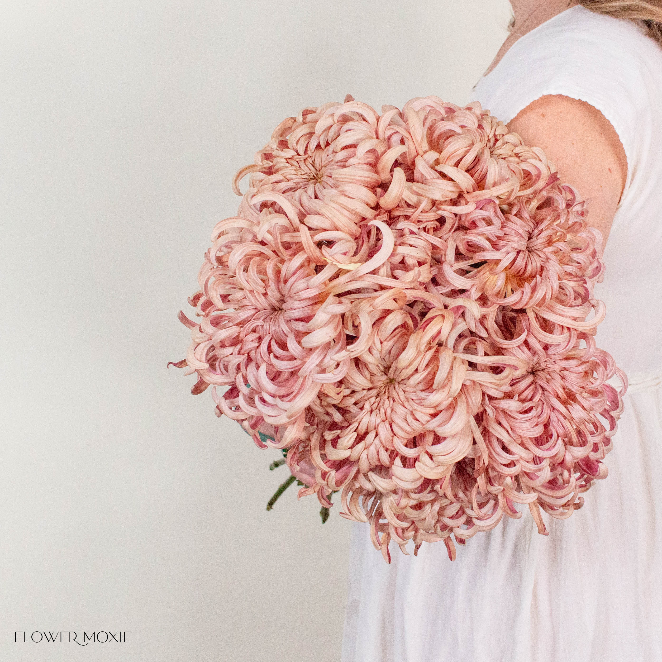Peach Medusa Cremone Flower