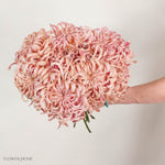 Peach Medusa Cremone Flower